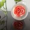 Eternal Candles - Jar Candles Pink Flower
